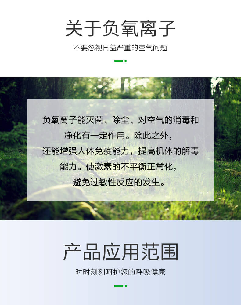 便攜式負離子檢測儀