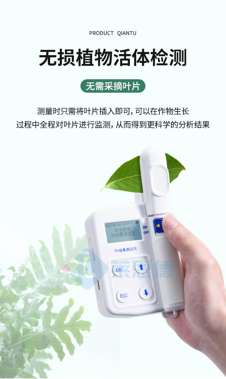 葉綠素測定儀
