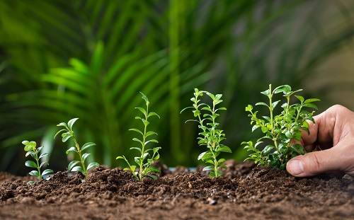 土壤肥料養分檢測儀為何“替代”實驗室檢測方式？