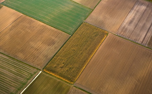 土壤肥料養(yǎng)分速測儀知道土壤中微量元素含量