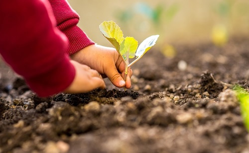 應用土壤水分測定儀科學監(jiān)測土壤含水量