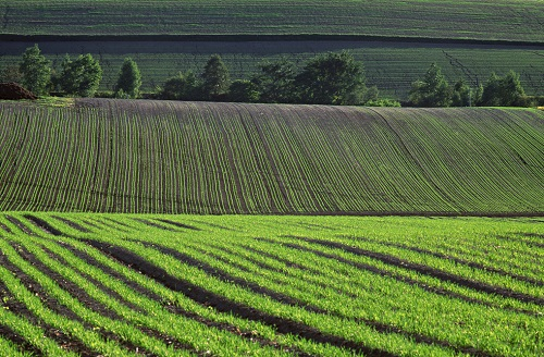 土壤墑情測試儀為抗旱防澇提供數(shù)據(jù)基礎