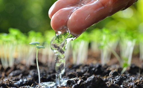 LD土壤水分快速檢測儀，實現(xiàn)農業(yè)科學灌溉
