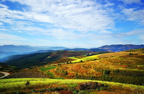 土壤養分測定儀-土壤養分,pH在線監測指導減肥增效保生態