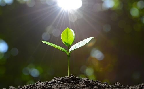 土壤肥料養分檢測儀靠譜嗎？選購土壤養分檢測儀的4個建議