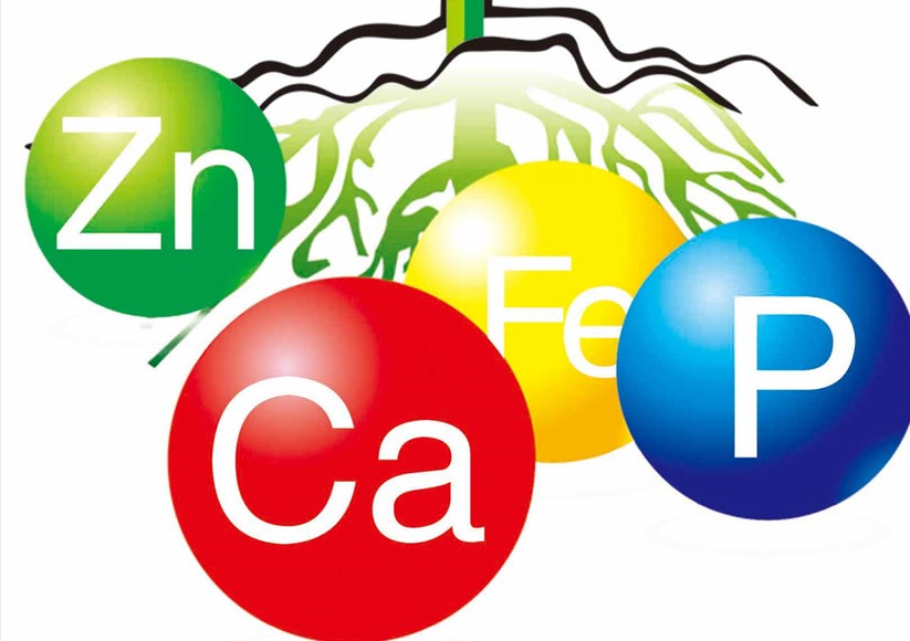 測土配方施肥成效顯著，最大的功勞應該歸功于土壤養分分析儀
