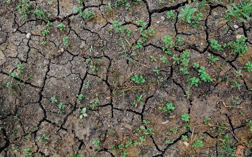 購買測土配方施肥儀前需了解什么？測土配方施肥儀檢查的方法