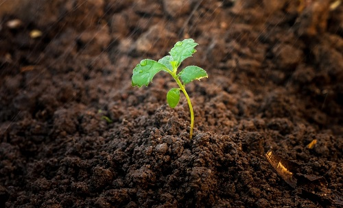 關于肥料養分速測選購的幾點技巧