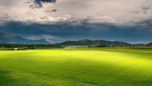 土壤水分測定儀研究土壤水分變化對植物生長有哪些影響