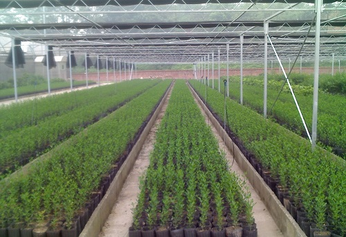 有機蔬菜種植配備測土儀器的必要性