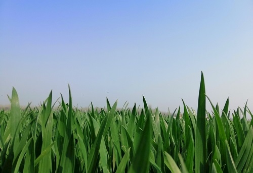 土壤檢測儀器可應用于農業中，幫助人們了解和掌握土壤特性