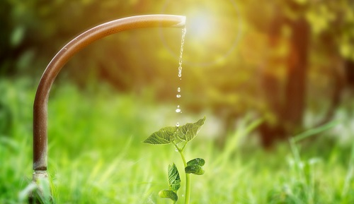 土壤養分檢測儀在農業生產中的作用