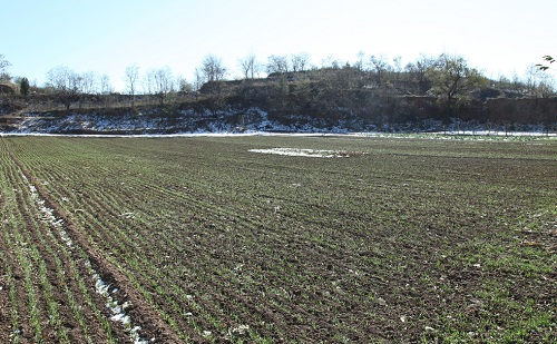 土壤水分檢測儀：預防春季干旱