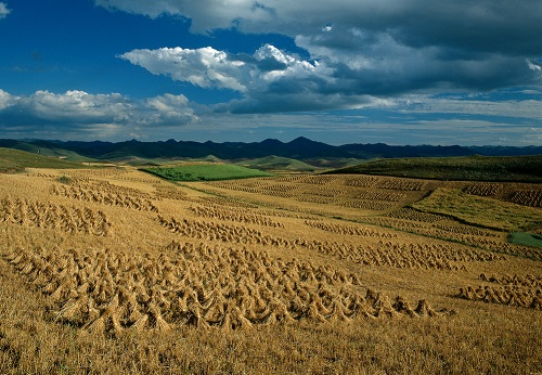 土壤養分快速測試儀為土壤減負，制作合理的農業科學施肥方案