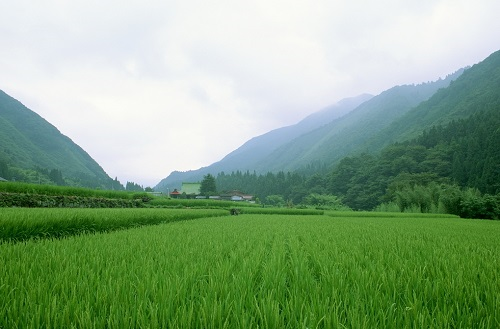 測土配方施肥儀：科學測土施肥讓土壤更肥沃
