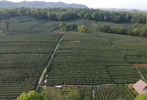 肥料不是越多越，利用測土儀提高化肥利用率