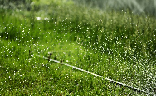用上測土儀讓土壤越用越肥