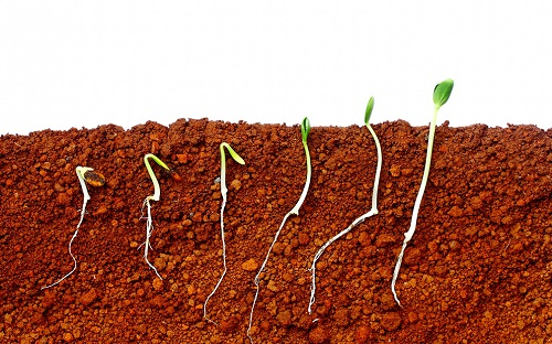 土壤水分溫度速測儀讓土壤水分溫度信息一手掌握