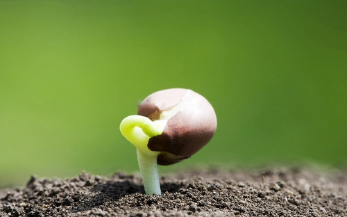 土壤肥料檢測儀指導科學施肥越來越有必要，讓農業節本更增效