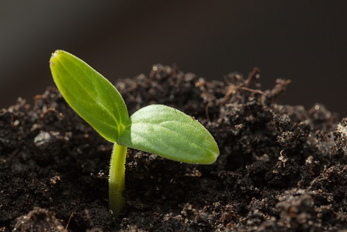 土壤氮磷鉀分析儀防止農業施肥進入氮磷鉀過量這個“坑”