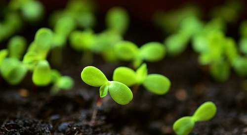 土壤墑情監測系統讓土壤墑情掌握十分簡單