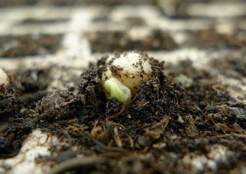 為什么要推測土儀？TA的這些優勢真的是太香了