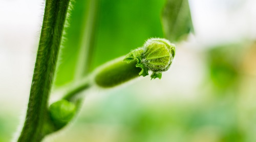 土壤水分溫度測定儀：掌握土壤水分溫度很關鍵