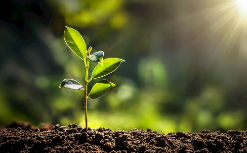 土壤養分測試儀打開土壤養分秘密的大門
