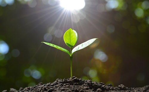 土壤水分測定儀在灌溉中起到的關鍵作用