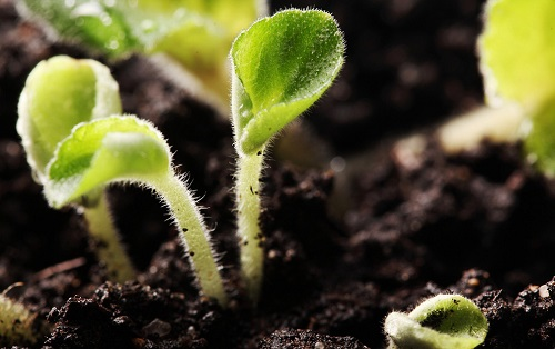 土壤墑情監測系統的設計符合國情