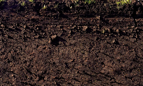 土壤肥料測試儀為廣大農民朋友解決了煩惱