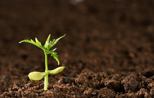 土壤墑情的概念到底是什么概念？土壤墑情的測定方法