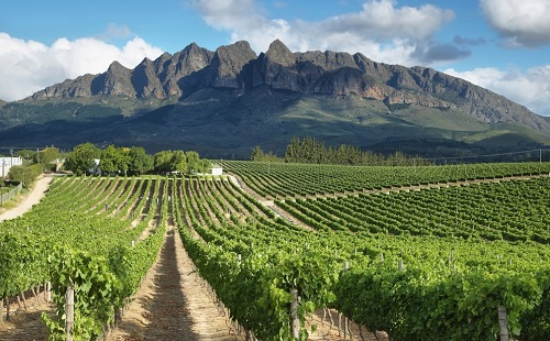 指導(dǎo)施肥，如何選擇一臺(tái)較為合適的土壤肥料養(yǎng)分速測(cè)儀？