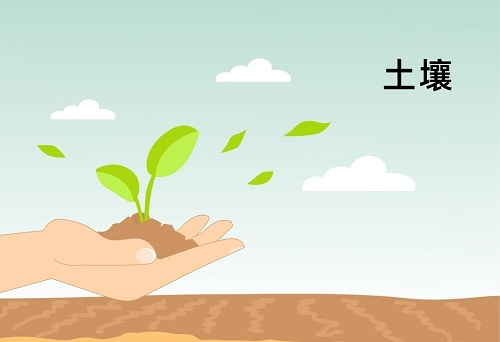 土壤墑情監(jiān)測(cè)系統(tǒng)在精細(xì)農(nóng)業(yè)發(fā)展中扮演著什么角色？