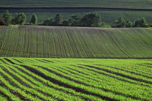 “作測(cè)定，降風(fēng)險(xiǎn)”——土壤pH測(cè)定儀的應(yīng)用意義