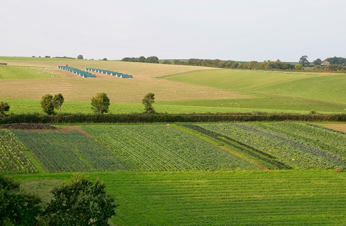 什么樣的土壤環(huán)境適合植物生長(zhǎng)？土壤緊實(shí)度測(cè)定儀讓我們更了解植物需求