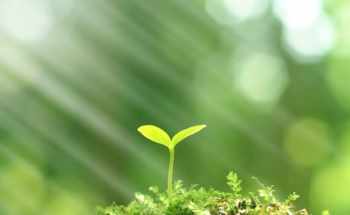 推廣測土配方施肥技術的有哪些好處？
